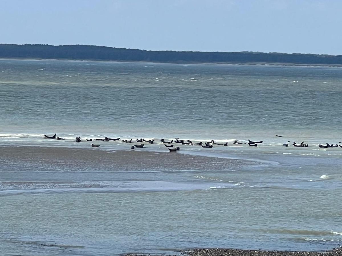 Villa Saint Jacques, Appart La Mer 勒特雷波尔 外观 照片